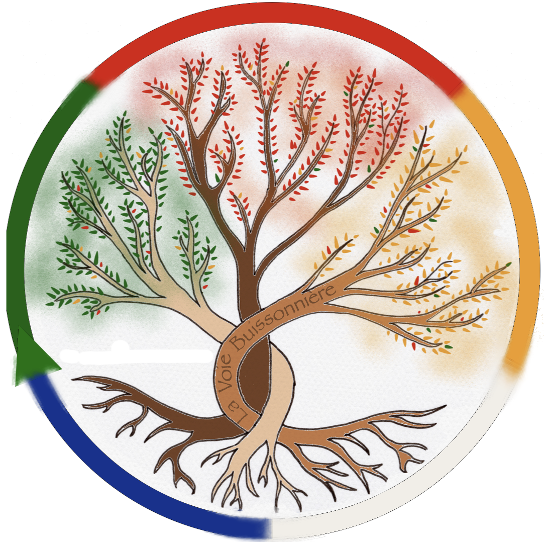 logo de la Voie Buissonnière représentant un arbre de vie et les cinq mouvements de la MTC