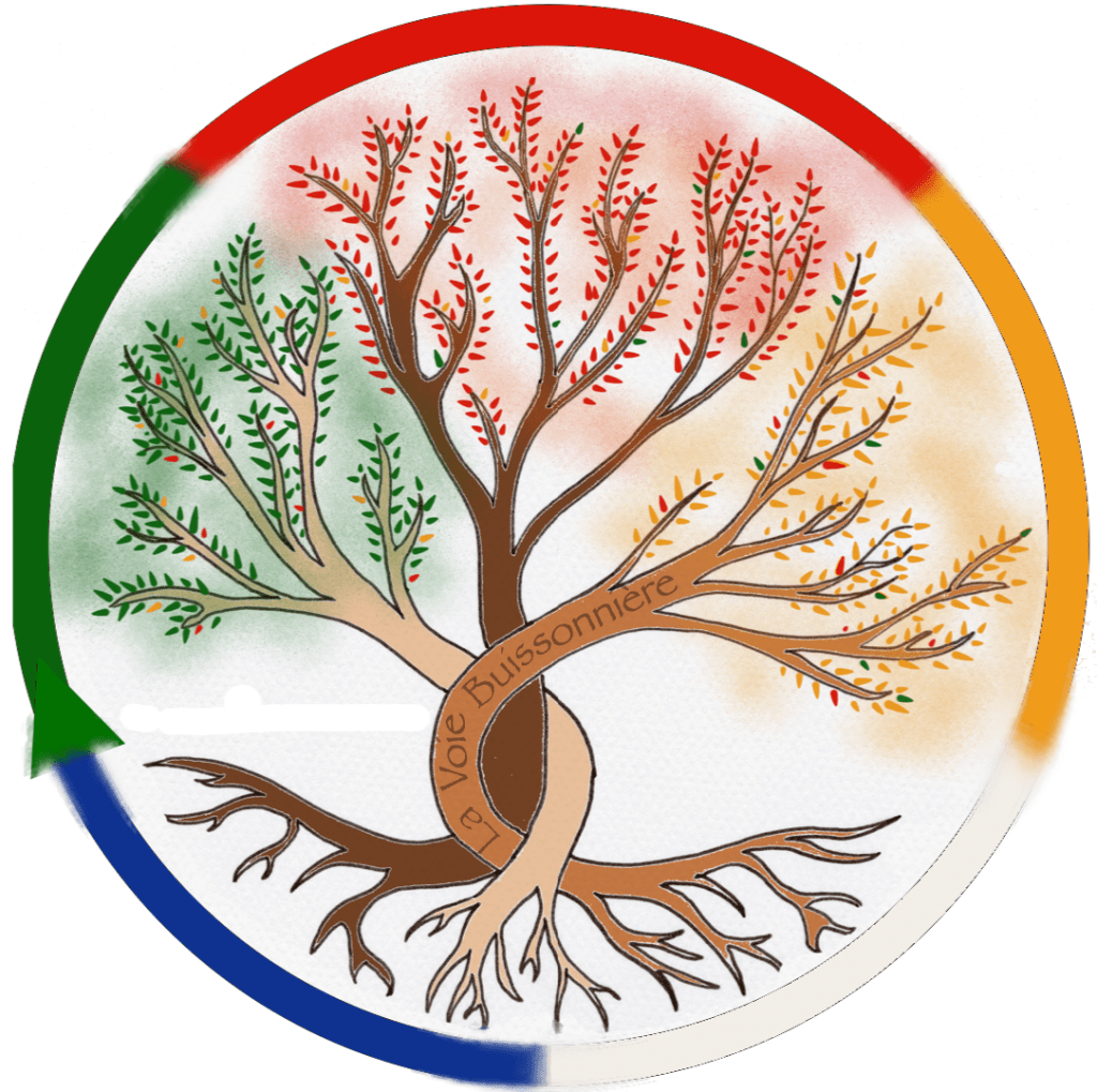 logo de la Voie Buissonnière représentant un arbre de vie et les cinq mouvements de la MTC