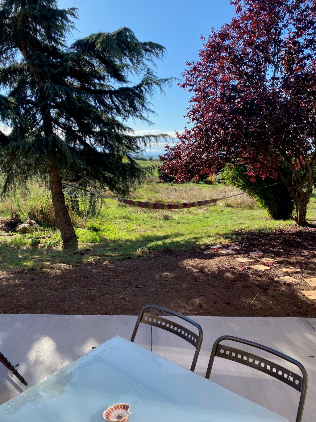 Vue depuis la terrasse sur le jardin avec un hamac entre deux arbres