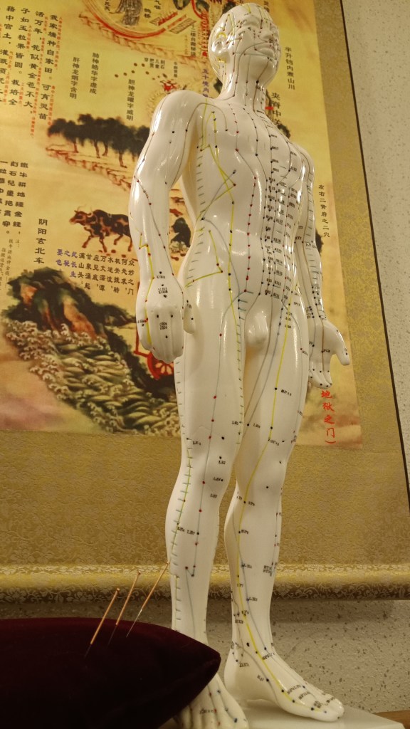 mannequin d'acupuncture