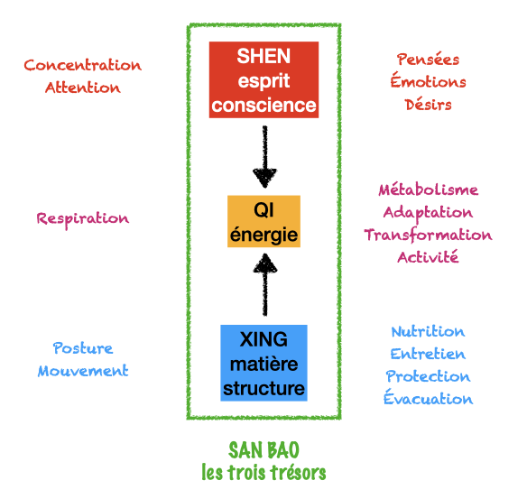 Shéma des trois trésors : le SHEN (esprit), le QI (énergie) et le XING (matière)
